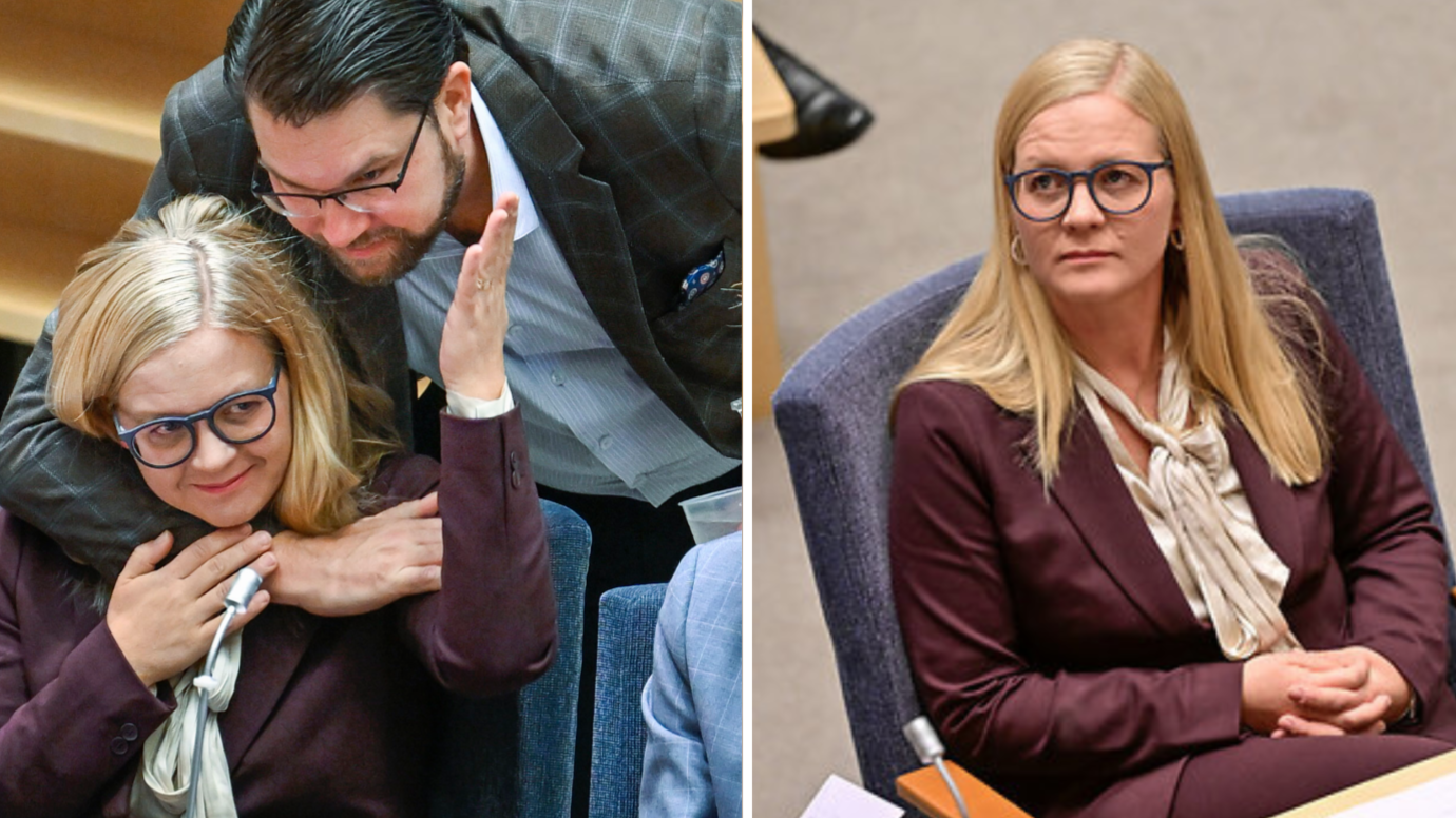 Valet 2022, Sverigedemokraterna, Julia Kronlid, TT